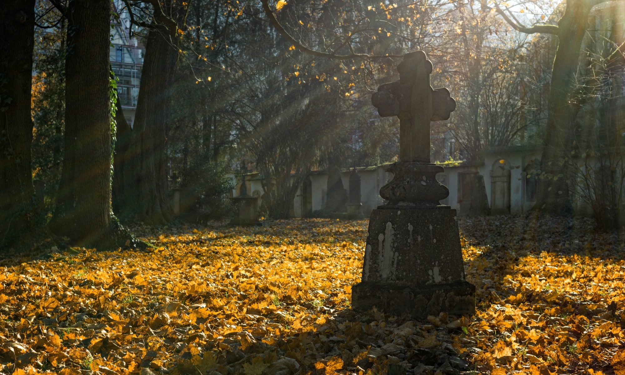 cemetery in light