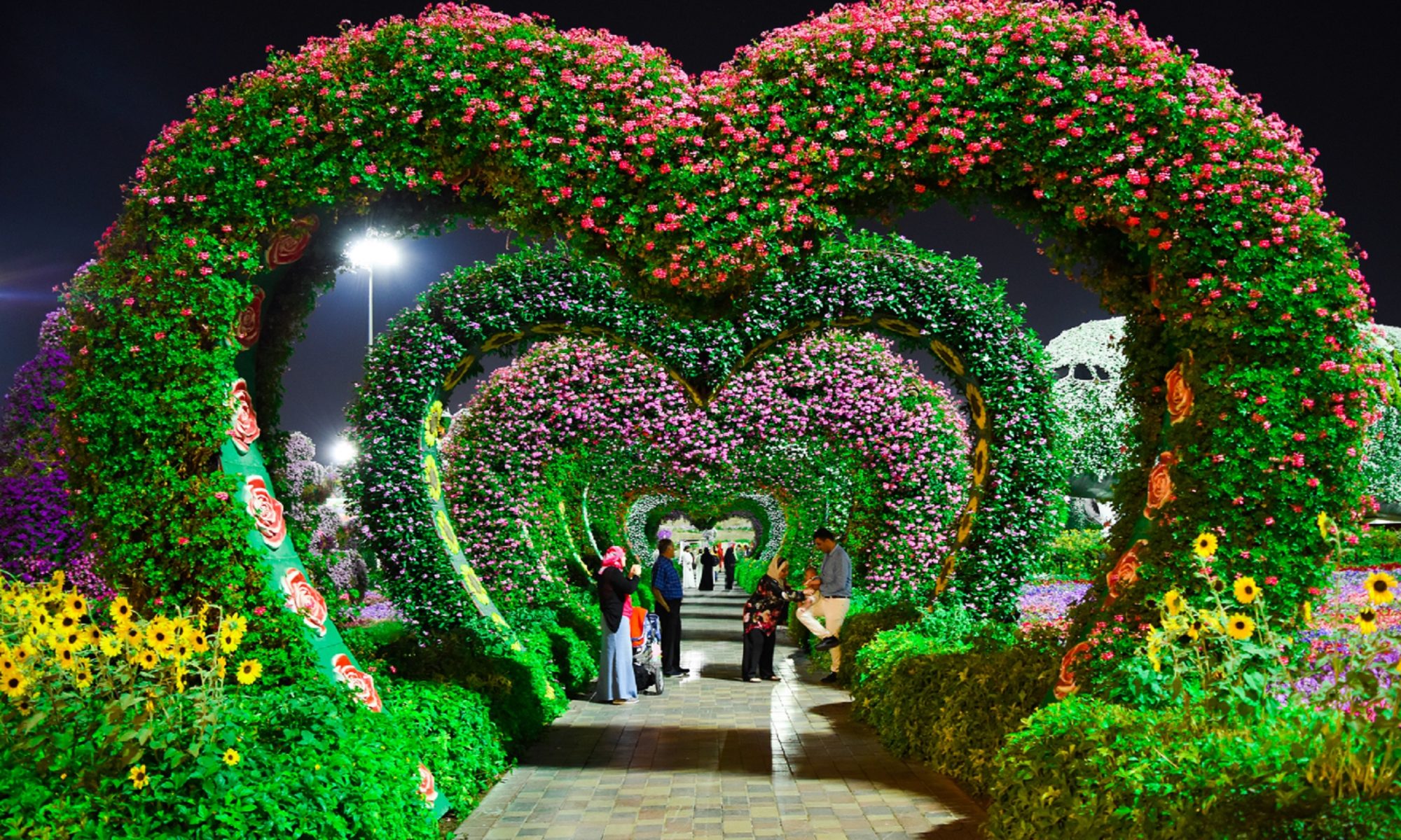 heart-shaped garden